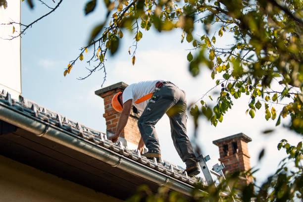 Best Storm Damage Roof Repair  in East Bangor, PA